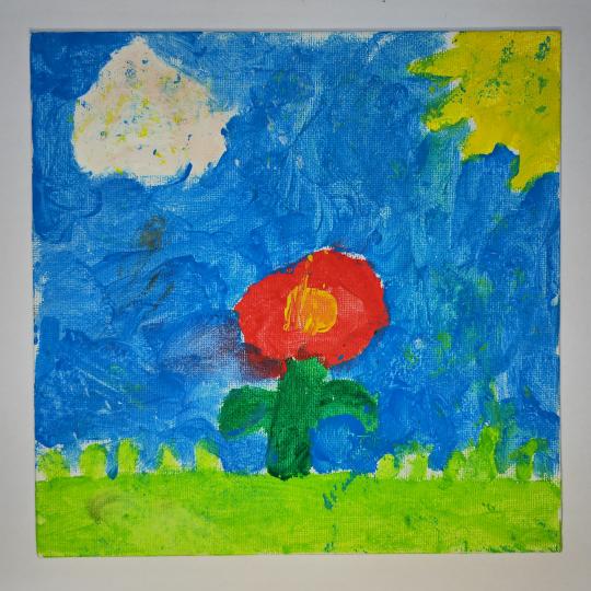 Cosmin, 13 ani