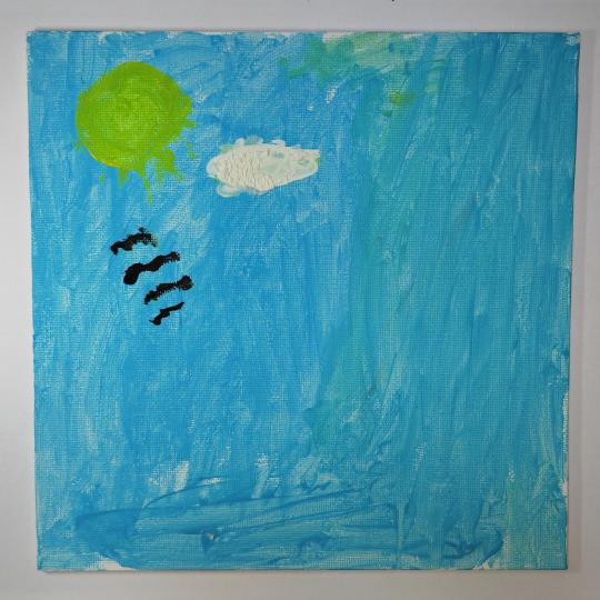 Ciprian, 11 ani