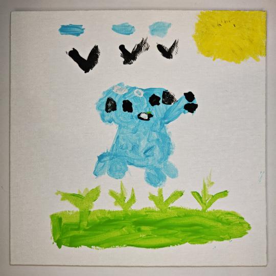 Raluca, 7 ani