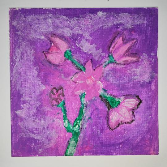 Roxana, 12 ani